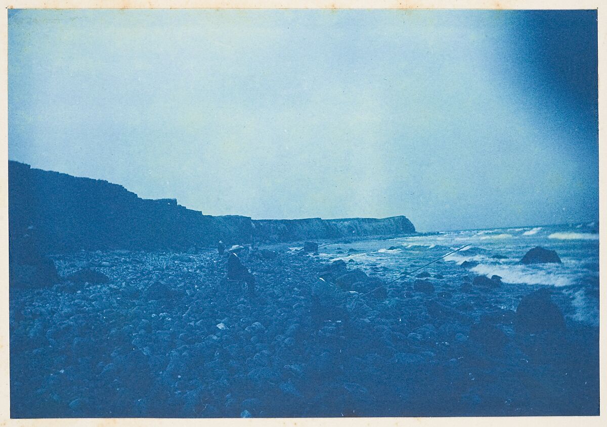 [Album of Photographs of the Land and Summer Cottages Owned by the Montauk Association, Montauk, New York], Unknown (American), Cyanotypes