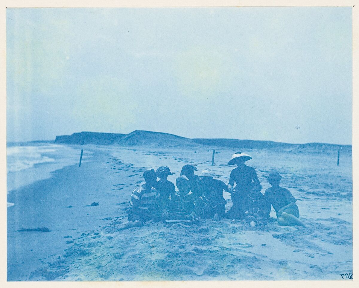 [Album of Photographs of the Land and Summer Cottages Owned by the Montauk Association, Montauk, New York], Unknown (American), Cyanotypes