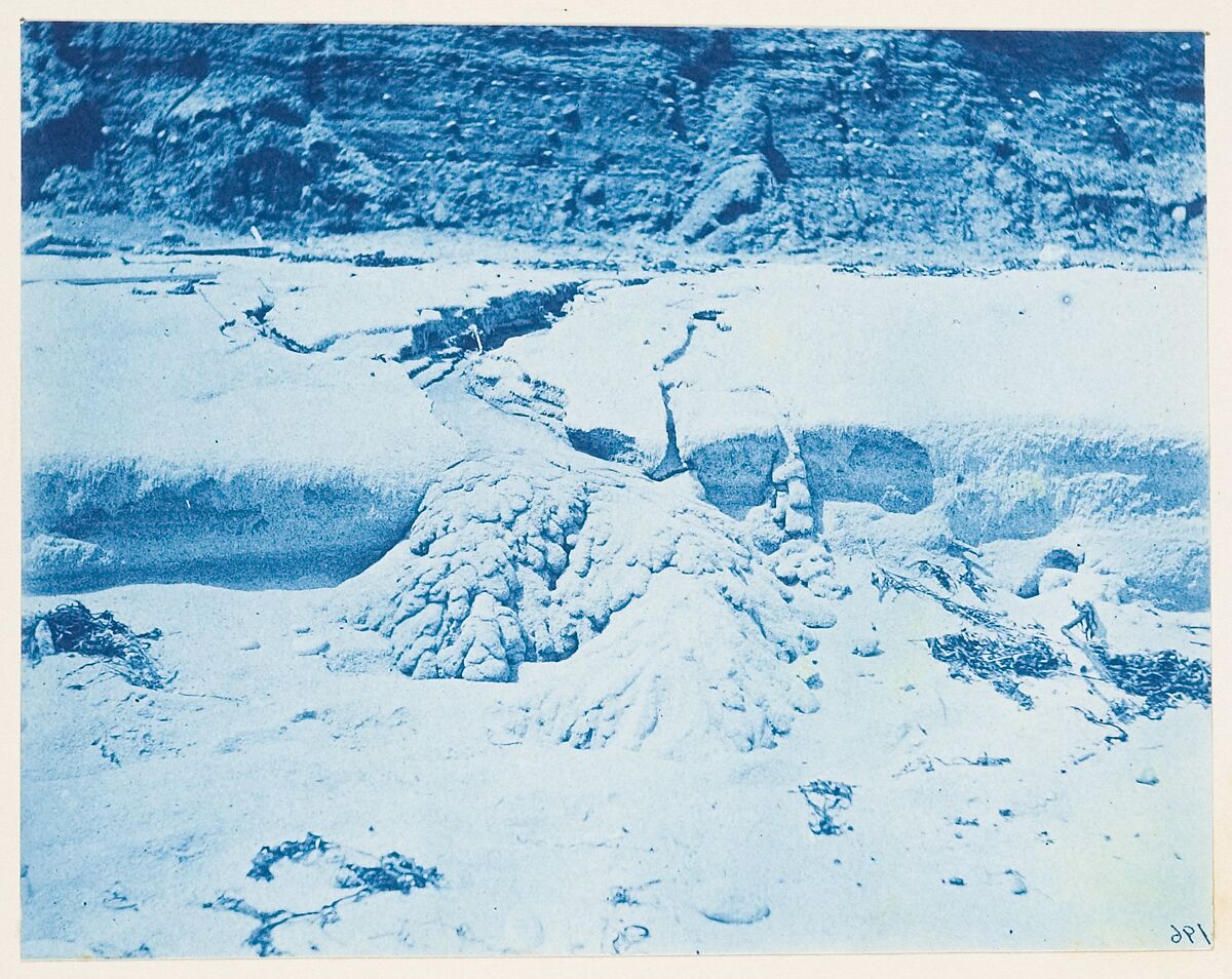 [Album of Photographs of the Land and Summer Cottages Owned by the Montauk Association, Montauk, New York], Unknown (American), Cyanotypes