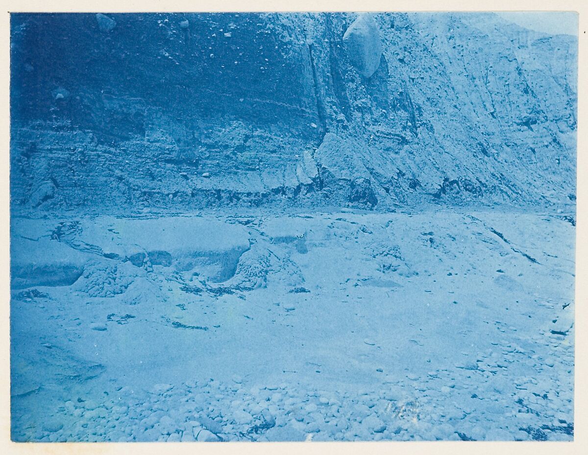 [Album of Photographs of the Land and Summer Cottages Owned by the Montauk Association, Montauk, New York], Unknown (American), Cyanotypes