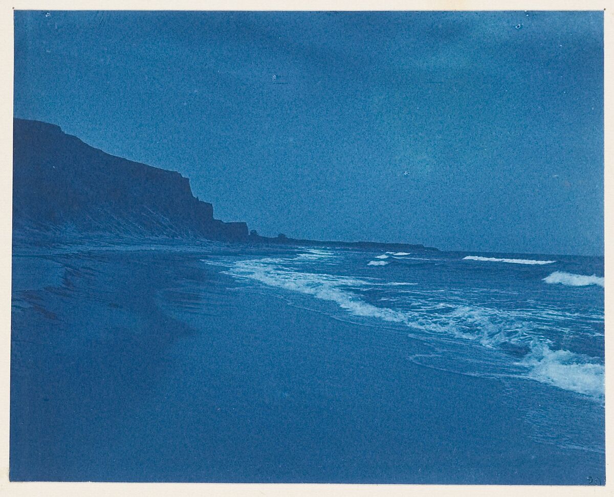 [Album of Photographs of the Land and Summer Cottages Owned by the Montauk Association, Montauk, New York], Unknown (American), Cyanotypes