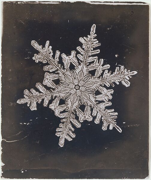 How history's first photos of snowflakes were made