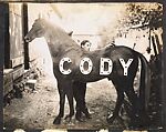 [Album of Photographs of Electric Signs by the Gray Sign Company, Knoxville, Tennessee], Unknown (American), Gelatin silver print