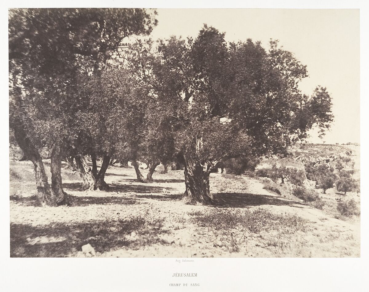 Jérusalem, Champ du sang, Auguste Salzmann (French, 1824–1872), Salted paper print from paper negative 