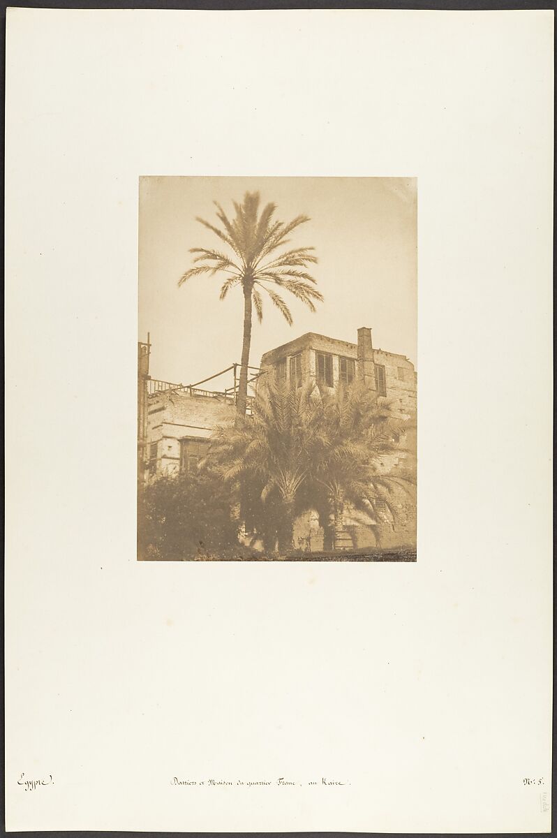 Dattiers et Maison du quartier Franc, au Kaire, Maxime Du Camp (French, 1822–1894), Salted paper print from paper negative 