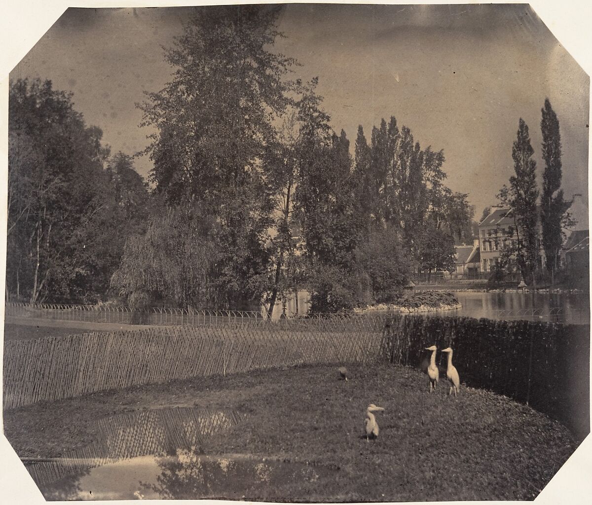 [Heron Pond, Zoological Gardens, Brussels], Louis-Pierre-Théophile Dubois de Nehaut (French, active Belgium, 1799–1872), Salted paper print from paper negative 