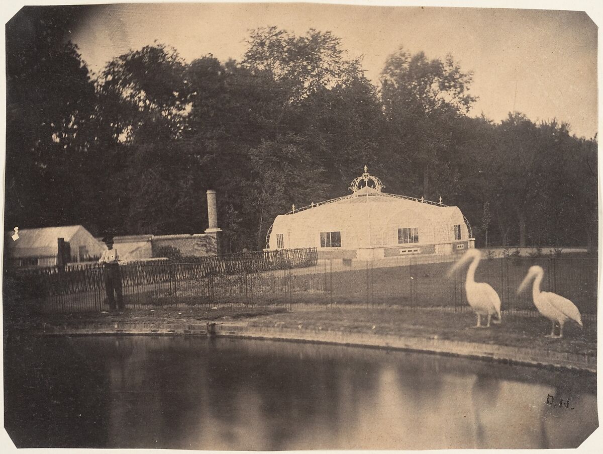 [The Pelicans and Greenhouses, Zoological Gardens, Brussels], Louis-Pierre-Théophile Dubois de Nehaut (French, active Belgium, 1799–1872), Salted paper print from paper negative 