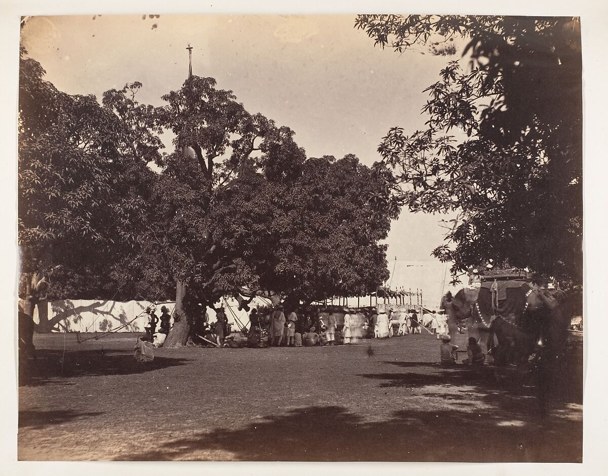 [Durbar Held at Governor Generals Camp,1859], Unknown, Albumen silver print 