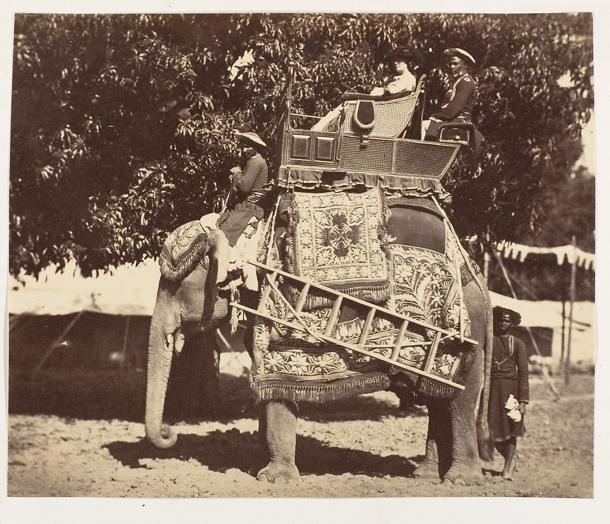 [Lady Canning], Unknown, Albumen silver print 