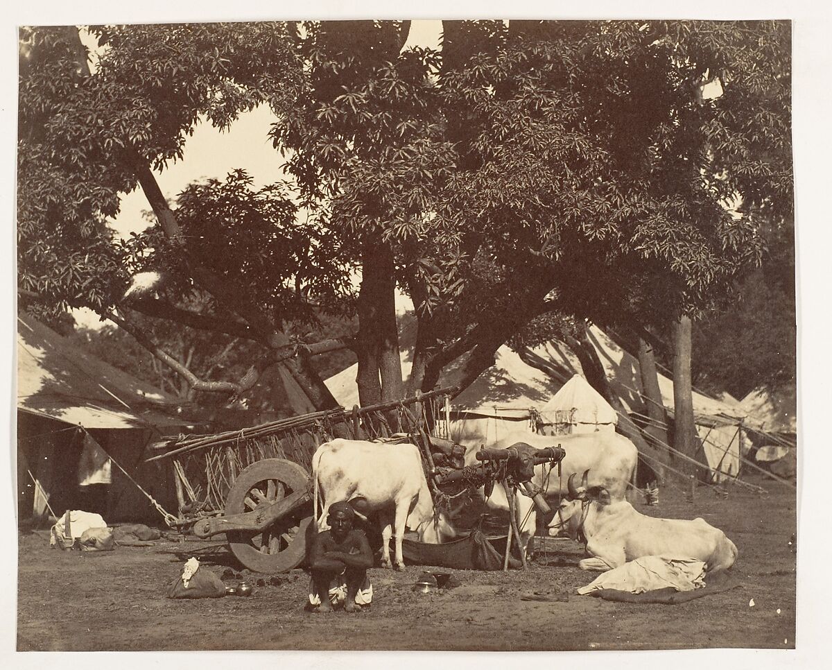 [Scene in Camp], Unknown, Albumen silver print 