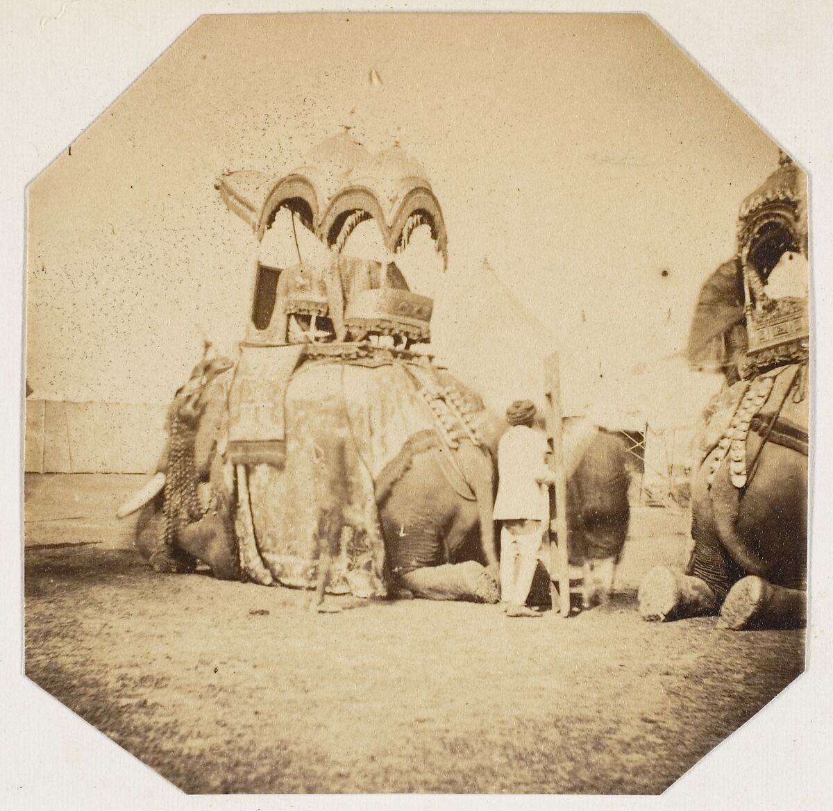 [Maharajah Putteala's State Elephant], Unknown, Albumen silver print 