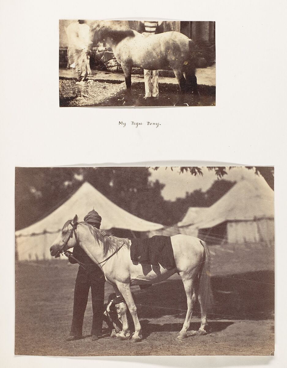 [My Pegu Pony], Unknown, Albumen silver print