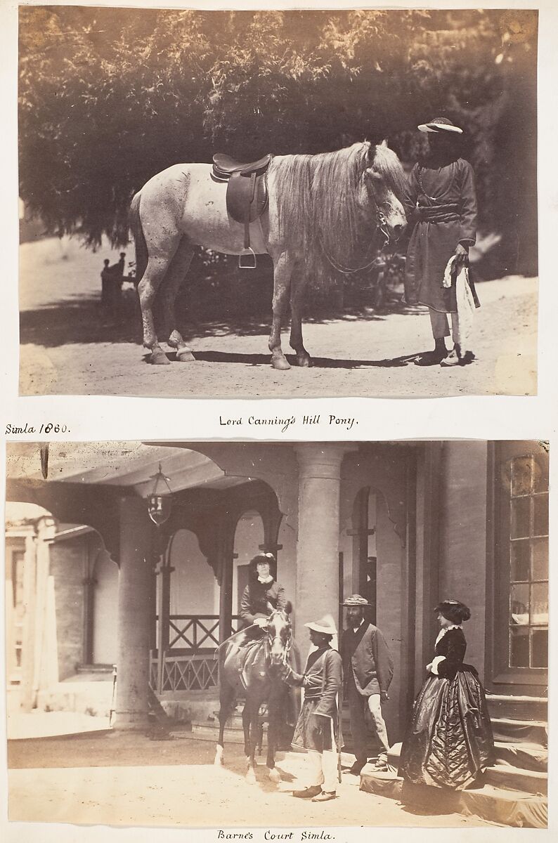 [Lord Canning's Hill Pony], Unknown, Albumen silver print