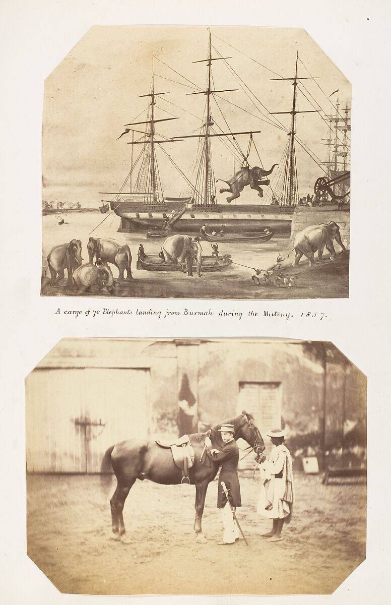[Captain Stuart and the horse 'Tortoiseshell'], Unknown, Albumen silver print