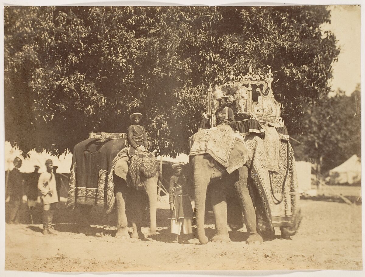 [Governor General's State Elephant and Silver Howdah], Unknown, Albumen silver print 