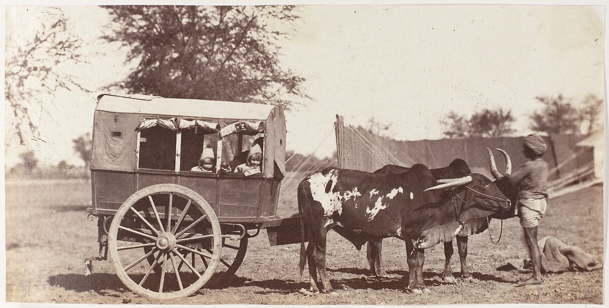 [Campbell Twins in a Shigram, Governor General's Camp], Jean Baptiste Oscar Mallitte (French, 1829–1905), Albumen silver print 