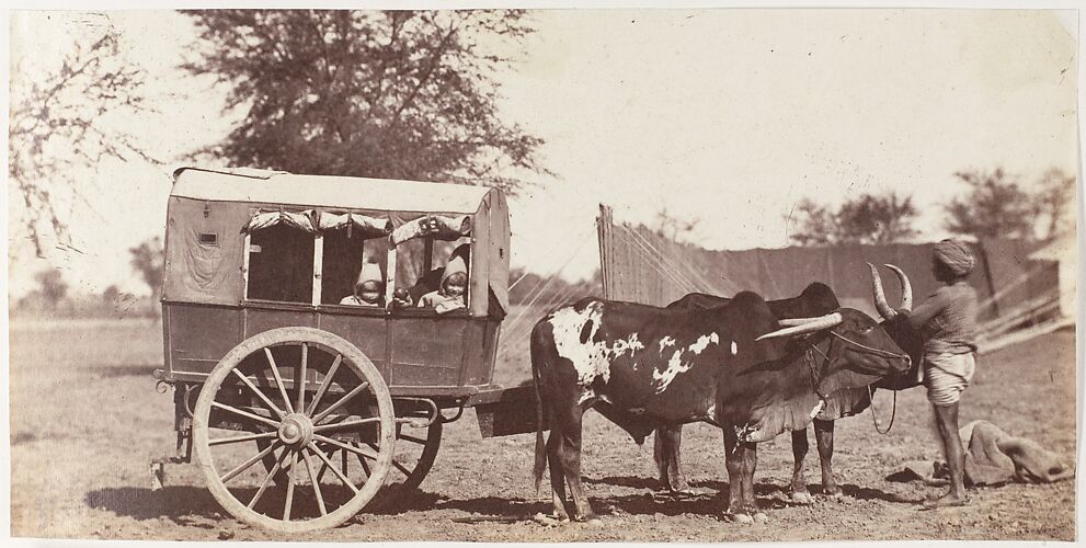 [Campbell Twins in a Shigram, Governor General's Camp]