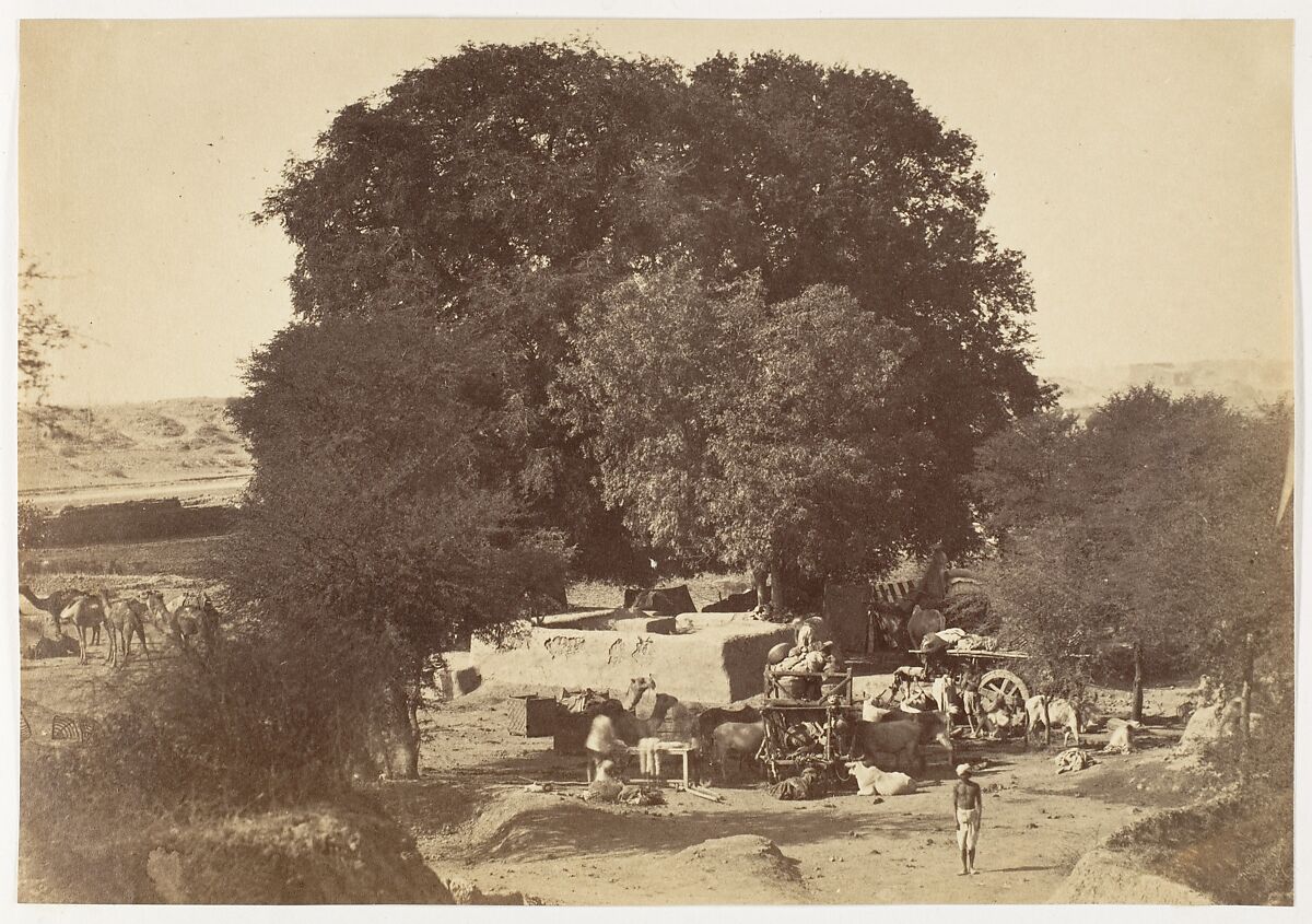 [Bhowlie- A Well in the Punjab], Unknown, Albumen silver print 