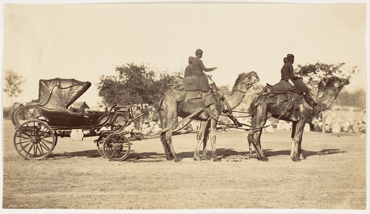 [ A Travelling Camel Carriage from Lahore to Peshawar, Governor General's Camp], Unknown, Albumen silver print 
