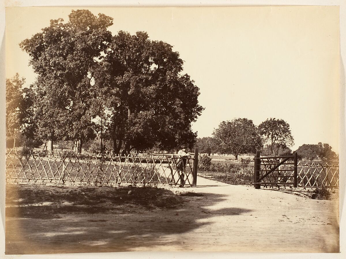 [View of Garden], Unknown, Albumen silver print 