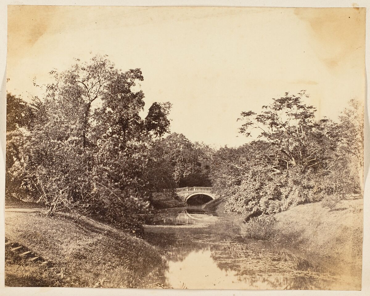 [Botanical Gardens, Calcutta], Unknown, Albumen silver print 