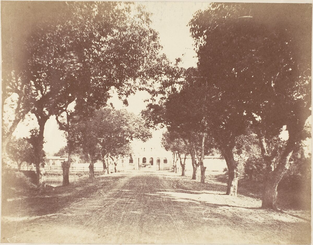 [Avenue, Mess and Capt. Hill's House], Captain R. B. Hill, Albumen silver print 