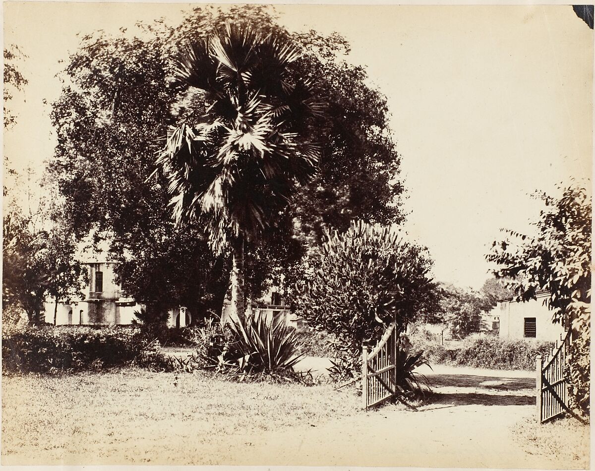 Gate Leading into Our House, Captain R. B. Hill, Albumen silver print 