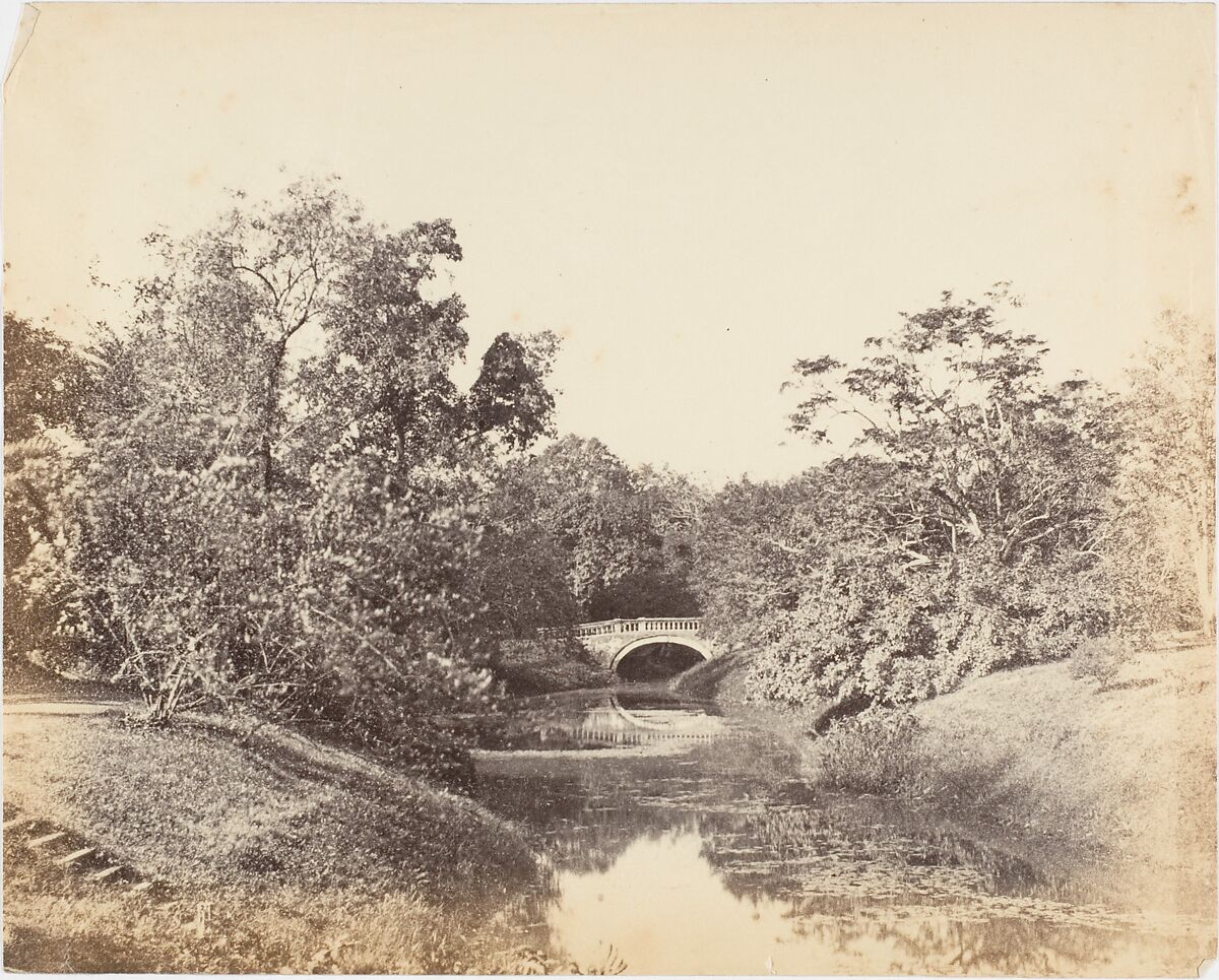 [Botanical Gardens, Calcutta], Captain R. B. Hill, Albumen silver print 