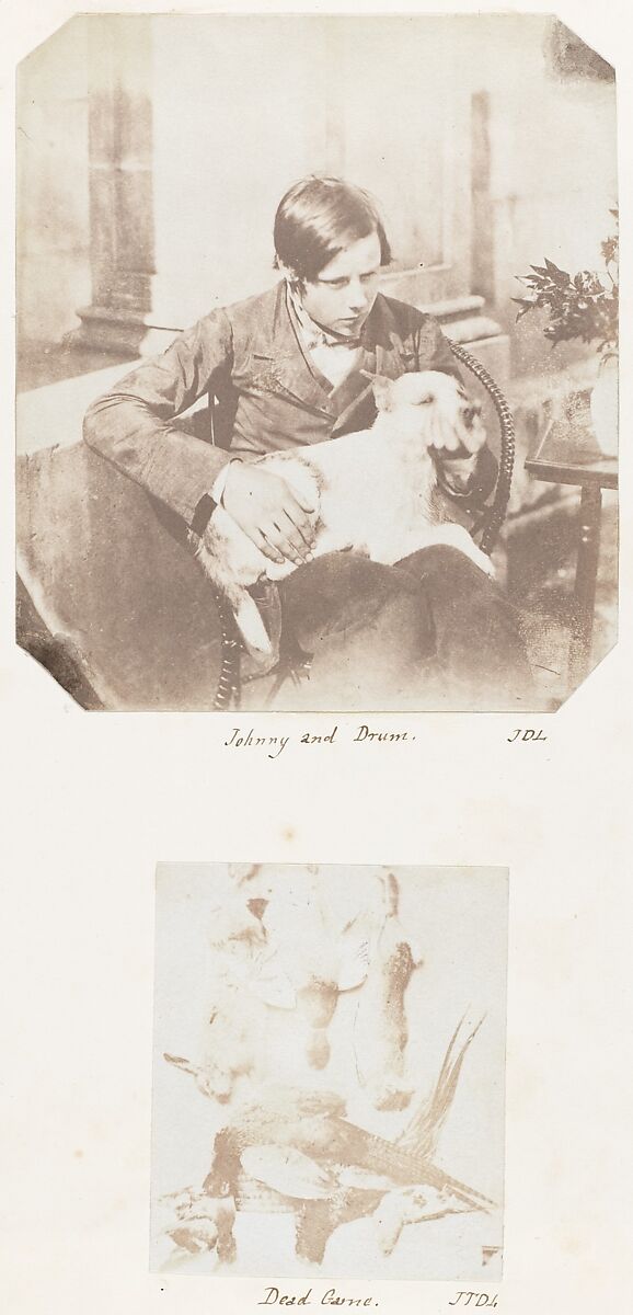 Johnny and Drum; Dead Game, John Dillwyn Llewelyn (British, Swansea, Wales 1810–1882 Swansea, Wales), Salted paper print 