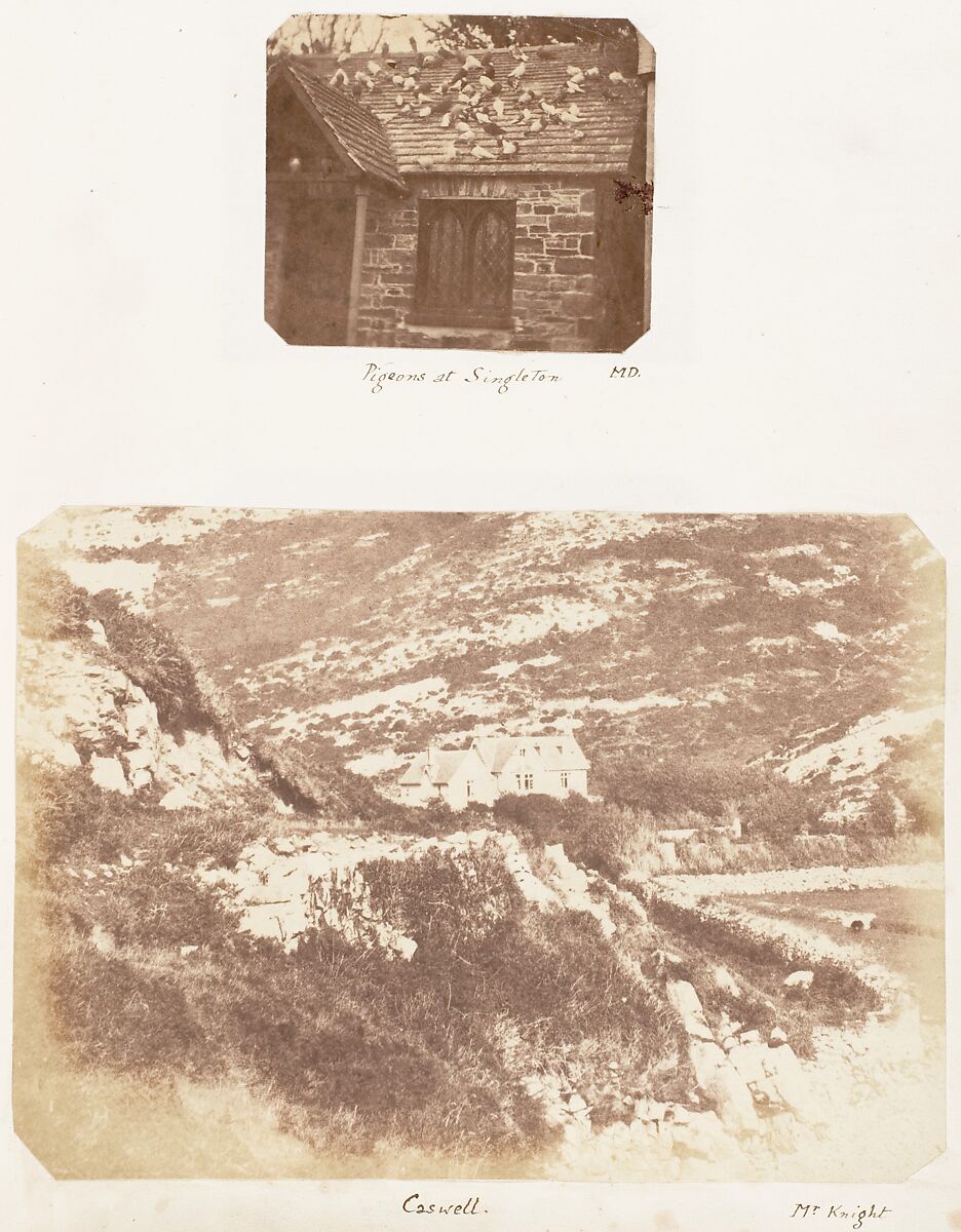 Pigeons at Singleton; Caswell, James Knight (British), Albumen silver print and salted paper print 