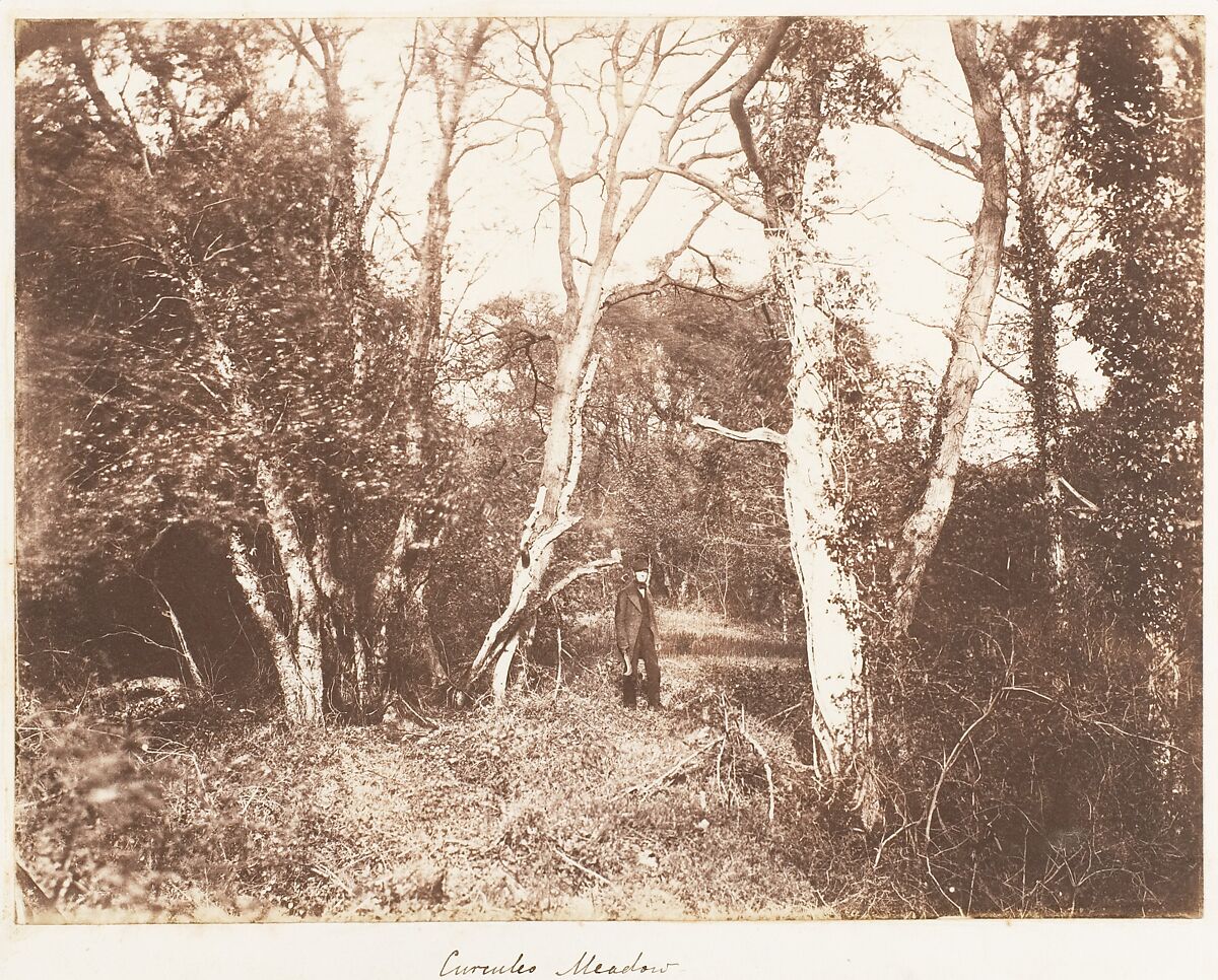 Cureuleo Meadow, John Dillwyn Llewelyn (British, Swansea, Wales 1810–1882 Swansea, Wales), Albumen silver print 