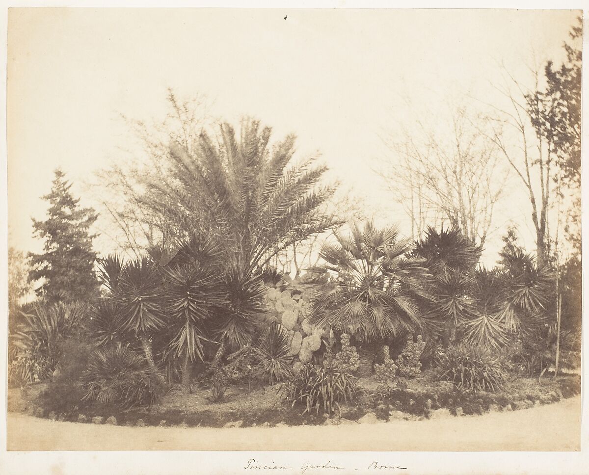 Pincian Garden, Rome, Possibly by Jane Martha St. John (British, Coln St. Aldwyn, Gloucestershire 1801–1882 Oakley, Hampshire), Albumen silver print 