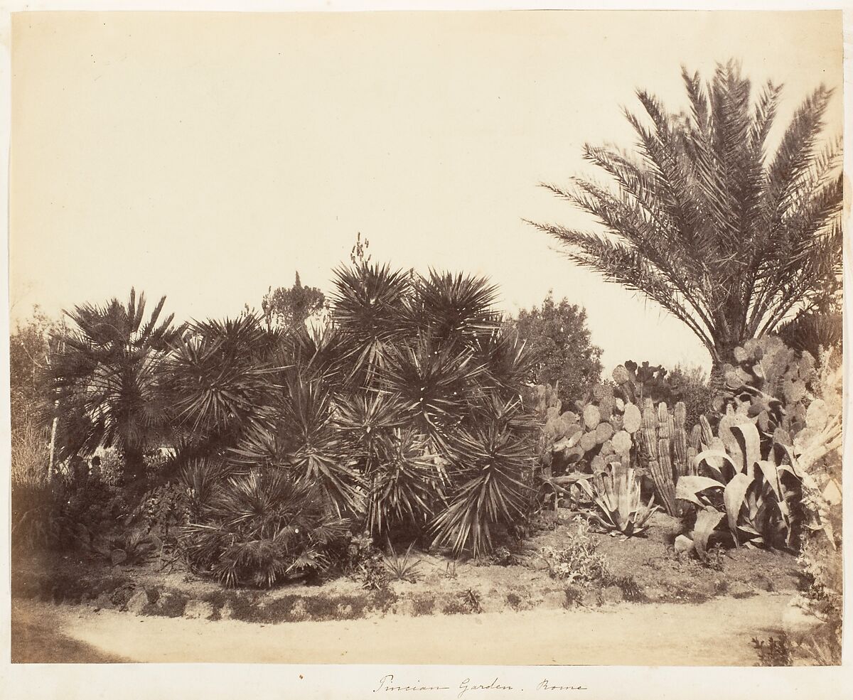 Pincian Garden, Rome, Possibly by Jane Martha St. John (British, Coln St. Aldwyn, Gloucestershire 1801–1882 Oakley, Hampshire), Albumen silver print 