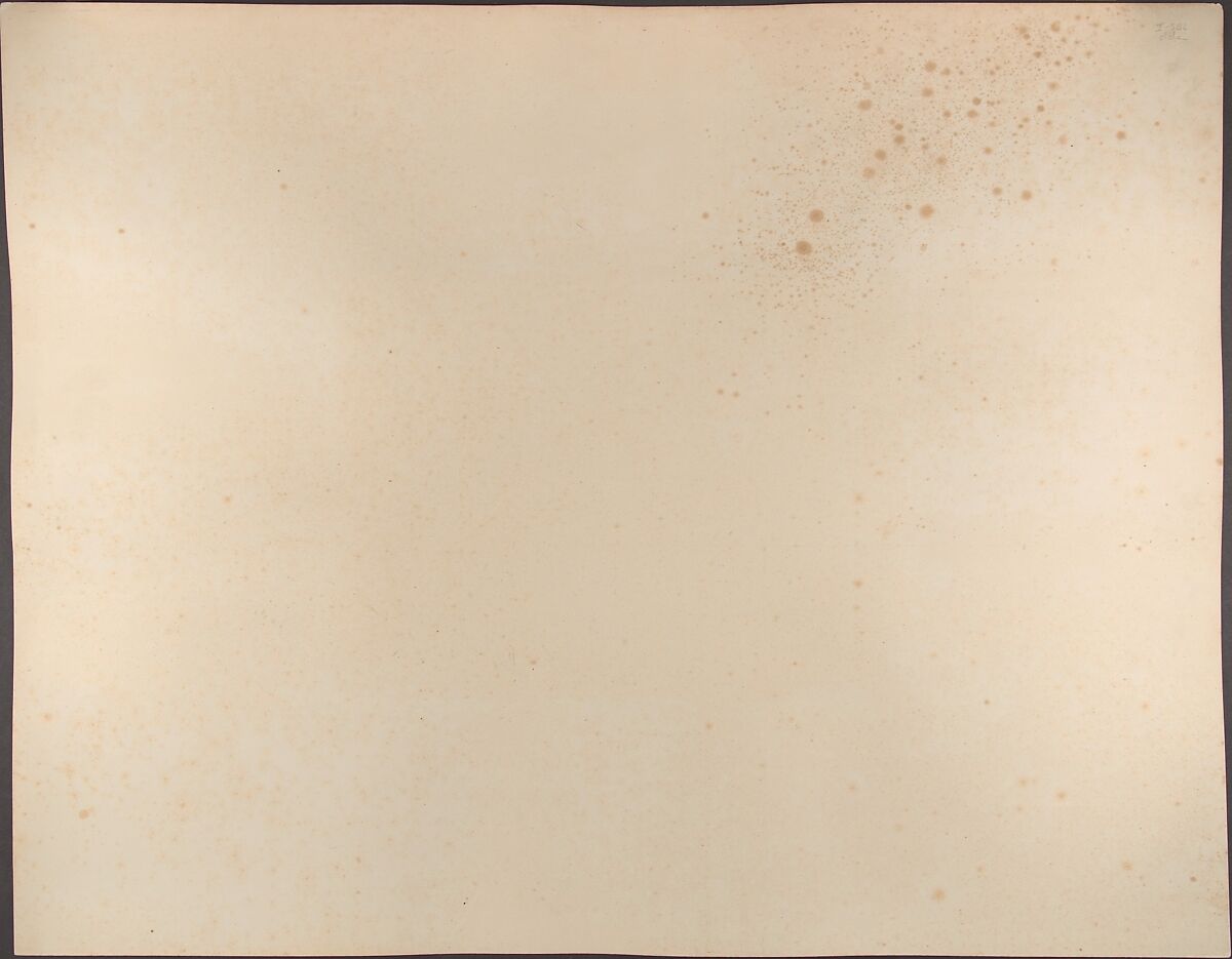 Parc de Courances, Eugène Cuvelier (French, 1837–1900), Salted paper print from paper negative