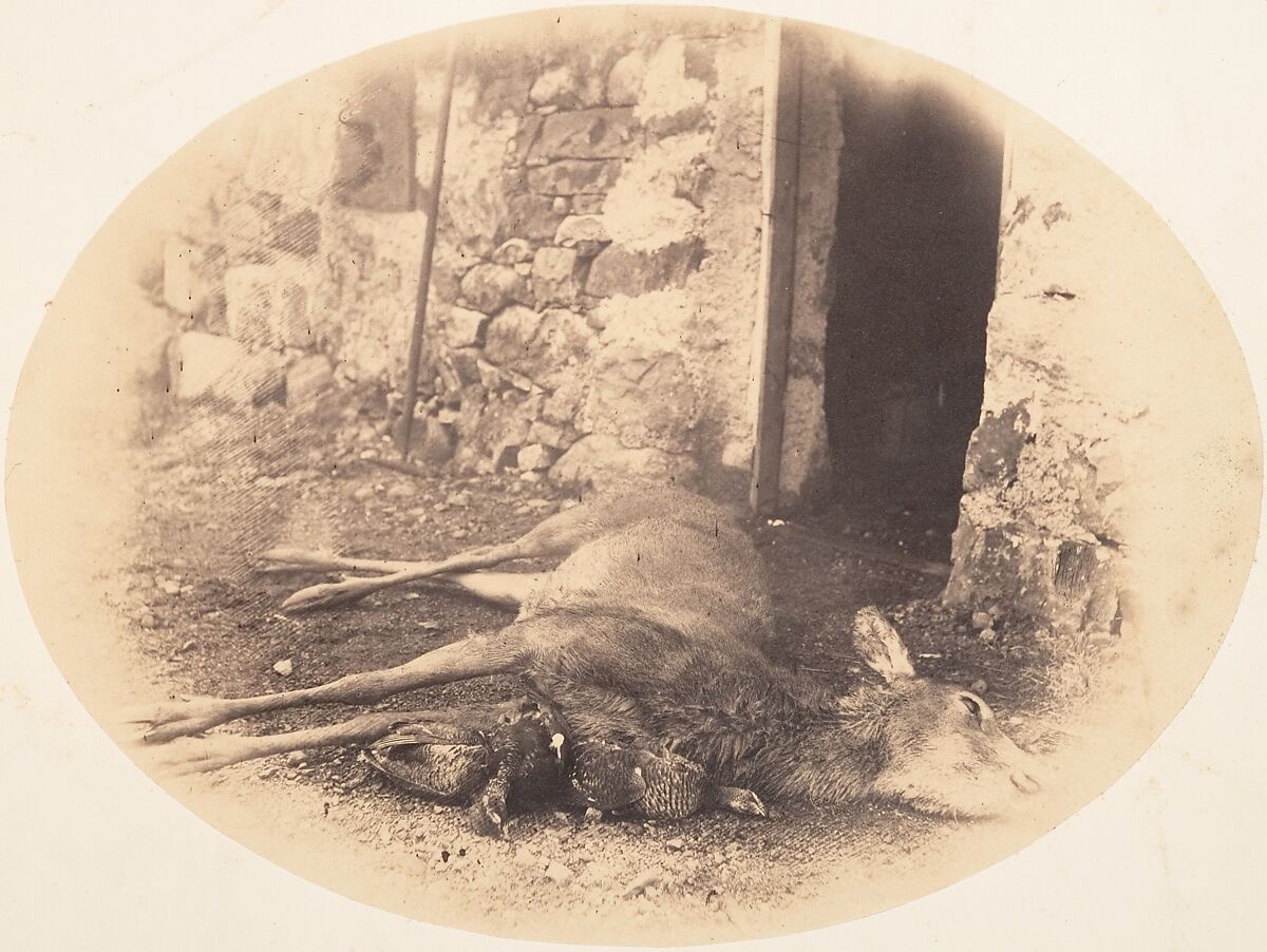 [Dead Female Deer and Game Bird], Horatio Ross (British, Rossie Castle, near Montrose, Scotland 1801–1886 Scotland), Salted paper print 