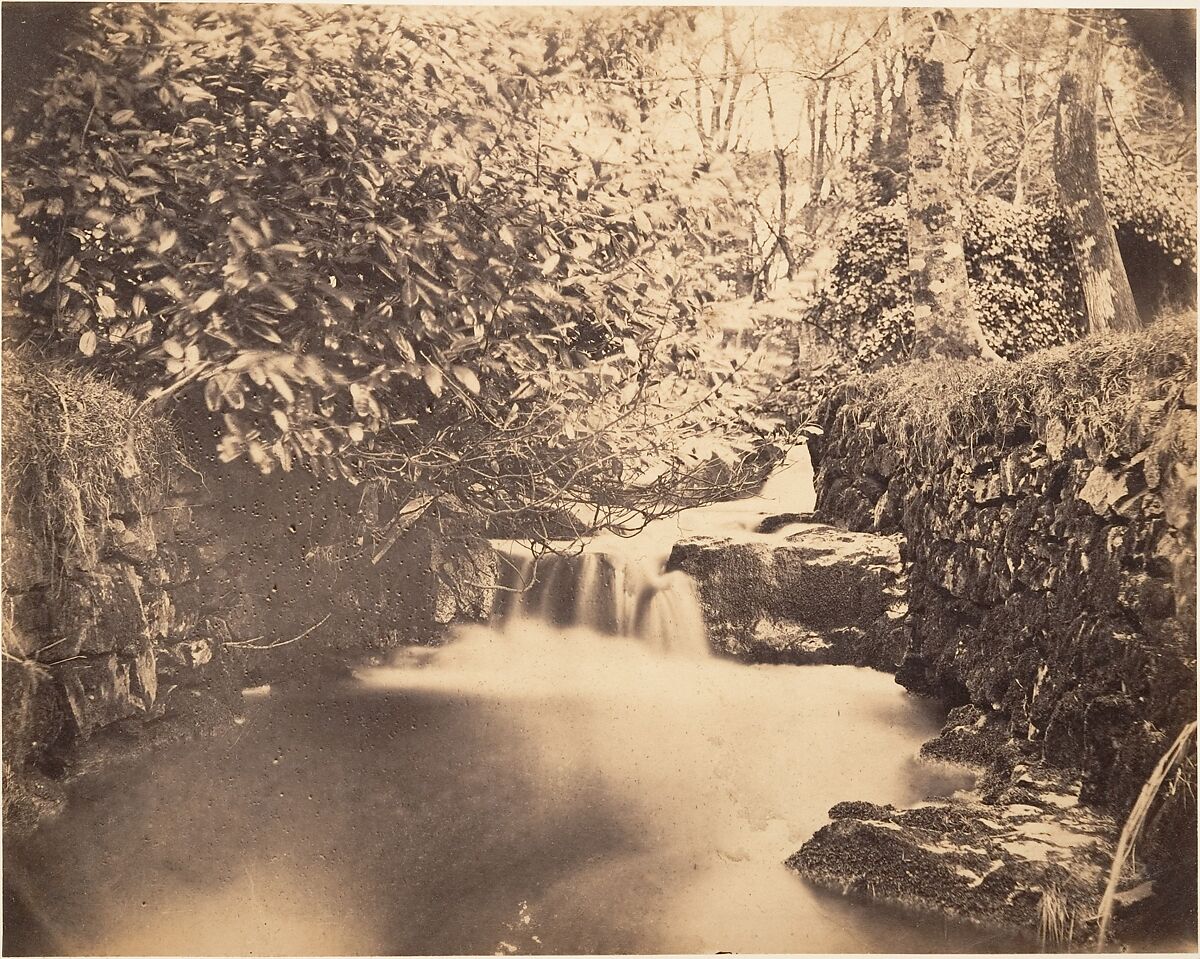 [View in the Gardens at Netherley], Horatio Ross (British, Rossie Castle, near Montrose, Scotland 1801–1886 Scotland), Albumen silver print 