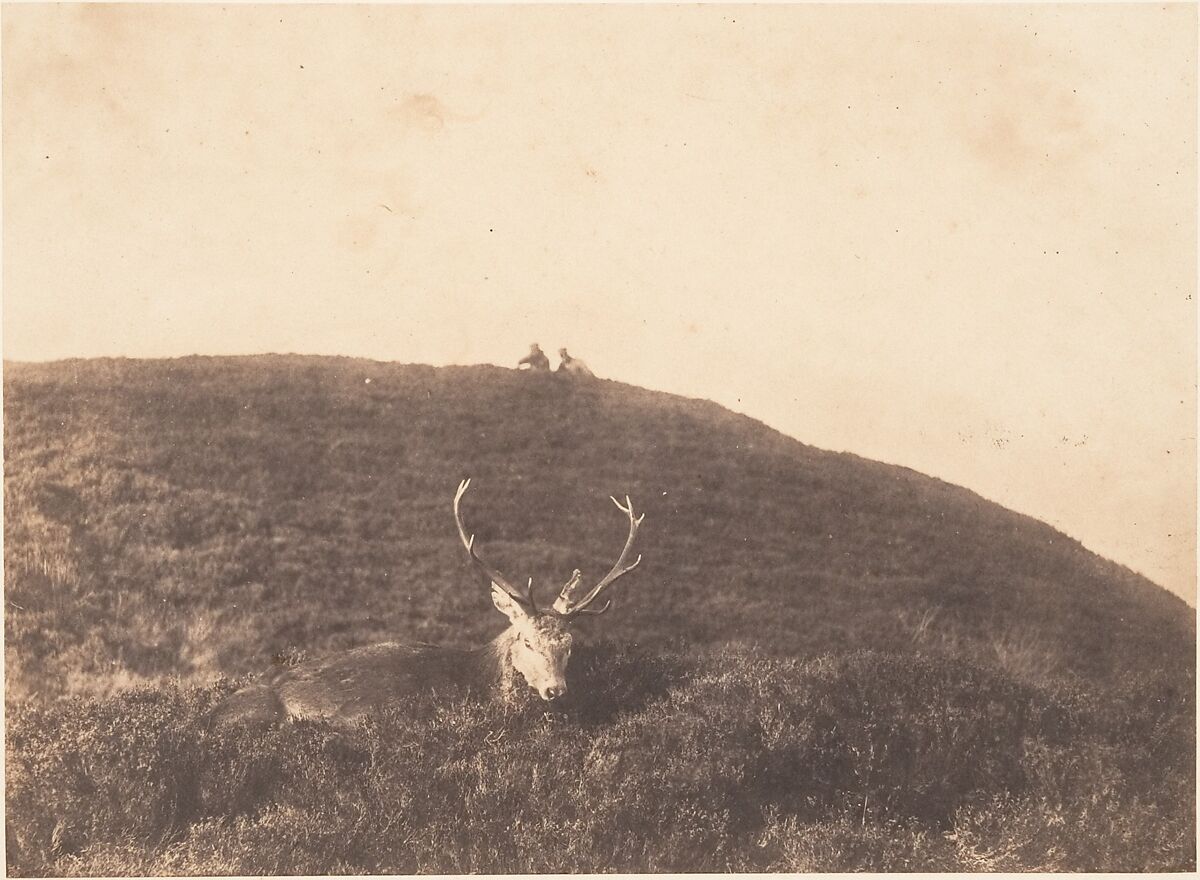 [Hunters Stalking a Deer], Horatio Ross (British, Rossie Castle, near Montrose, Scotland 1801–1886 Scotland), Salted paper print 
