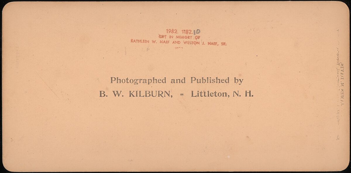 [Group of 14 stereographs of Africa and Actors], Kilburn Brothers (American, active ca. 1865–1890), Albumen silver prints
