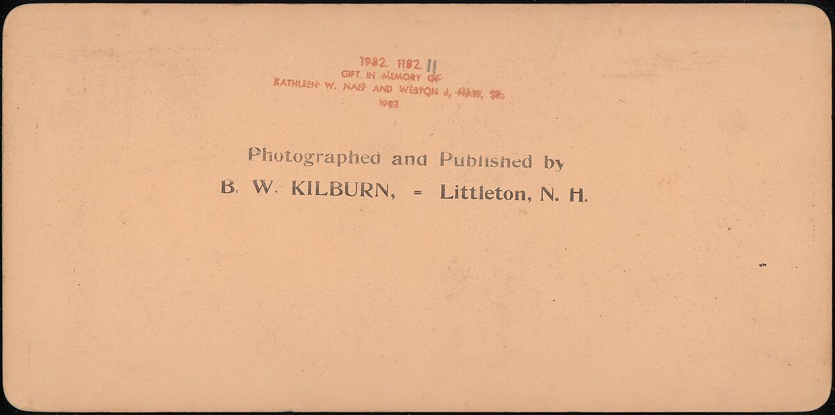 [Group of 14 stereographs of Africa and Actors], Kilburn Brothers (American, active ca. 1865–1890), Albumen silver prints