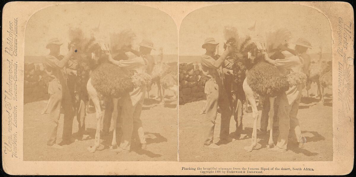 [Group of 14 stereographs of Africa and Actors], Kilburn Brothers (American, active ca. 1865–1890), Albumen silver prints