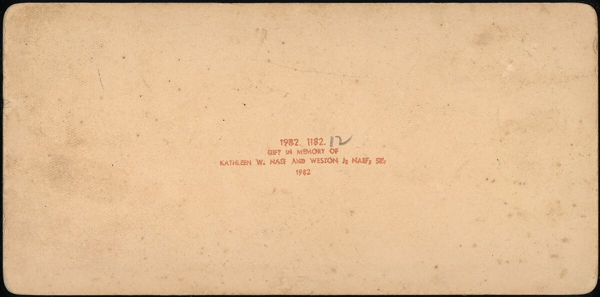 [Group of 14 stereographs of Africa and Actors], Kilburn Brothers (American, active ca. 1865–1890), Albumen silver prints