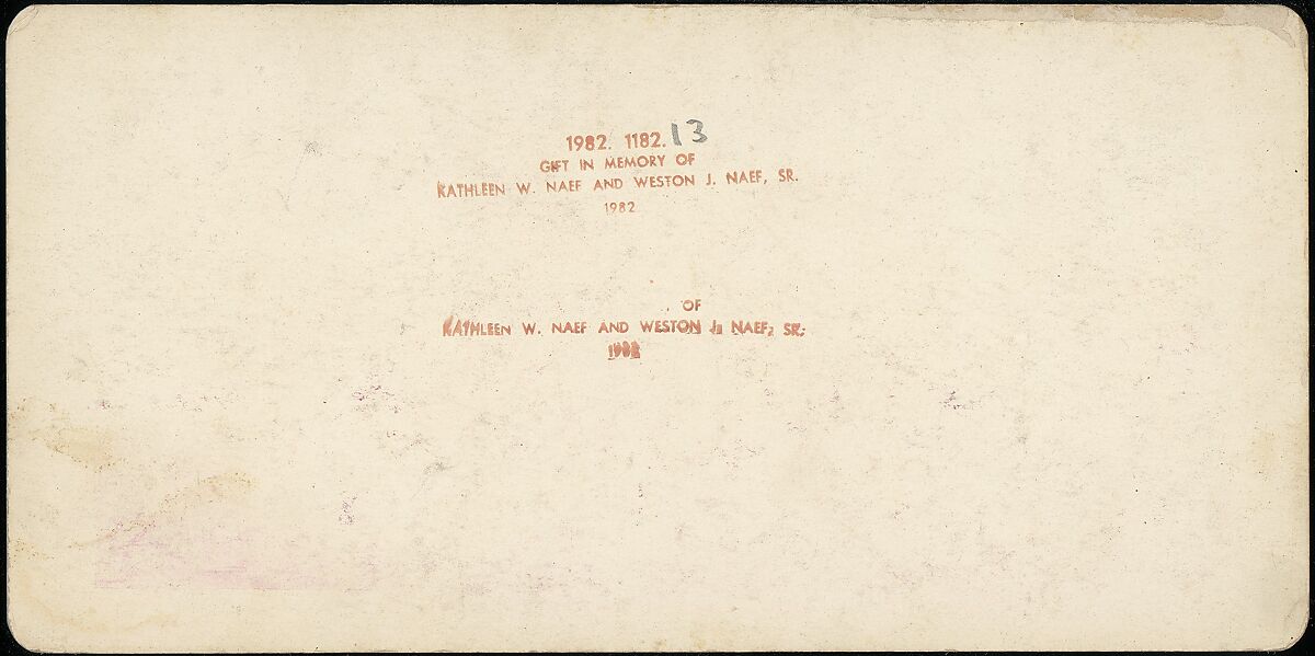 [Group of 14 stereographs of Africa and Actors], Kilburn Brothers (American, active ca. 1865–1890), Albumen silver prints