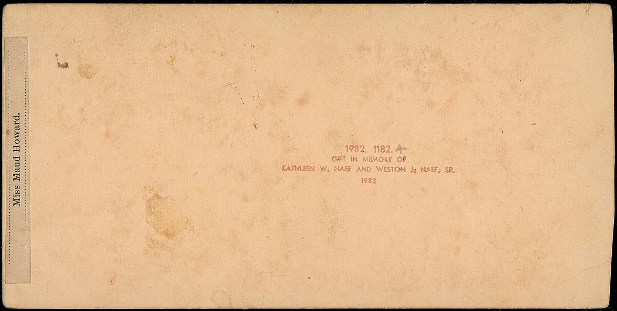 [Group of 14 stereographs of Africa and Actors], Kilburn Brothers (American, active ca. 1865–1890), Albumen silver prints