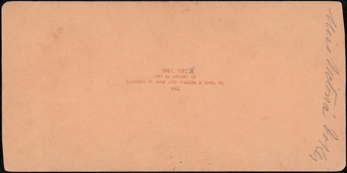 [Group of 14 stereographs of Africa and Actors], Kilburn Brothers (American, active ca. 1865–1890), Albumen silver prints