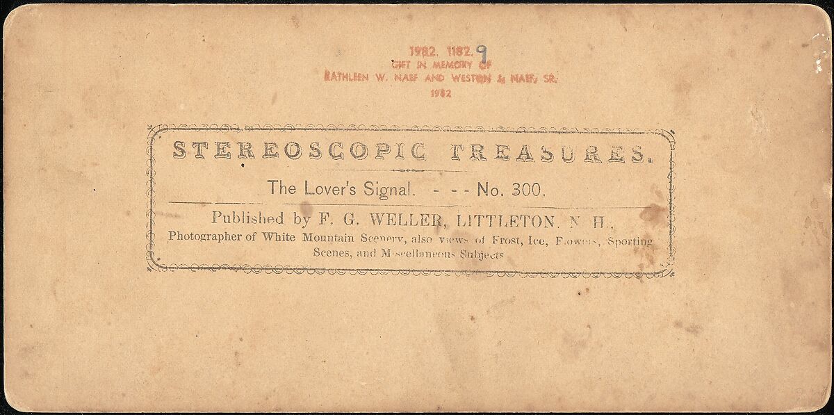 [Group of 14 stereographs of Africa and Actors], Kilburn Brothers (American, active ca. 1865–1890), Albumen silver prints