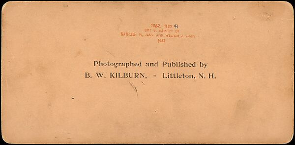[Group of 42 Stereograph Views of Alaska Including the Gold Rush], George W. Griffith (American), Albumen silver prints