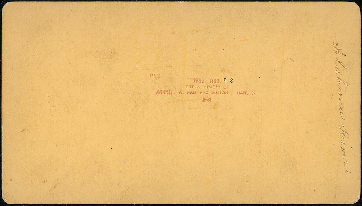 Alabama River, Unknown (American), Albumen silver prints