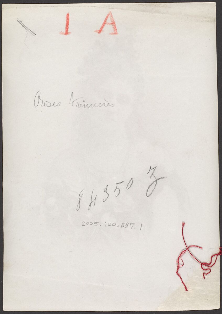 [Countess de Castiglione, from Série des Roses], Pierre-Louis Pierson (French, 1822–1913), Albumen silver print from glass negative