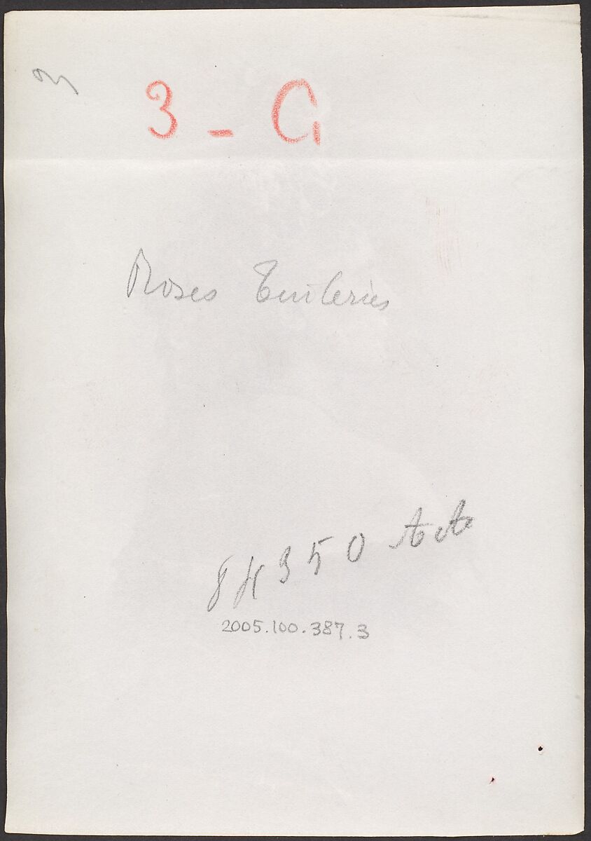 [Countess de Castiglione, from Série des Roses], Pierre-Louis Pierson (French, 1822–1913), Albumen silver print from glass negative