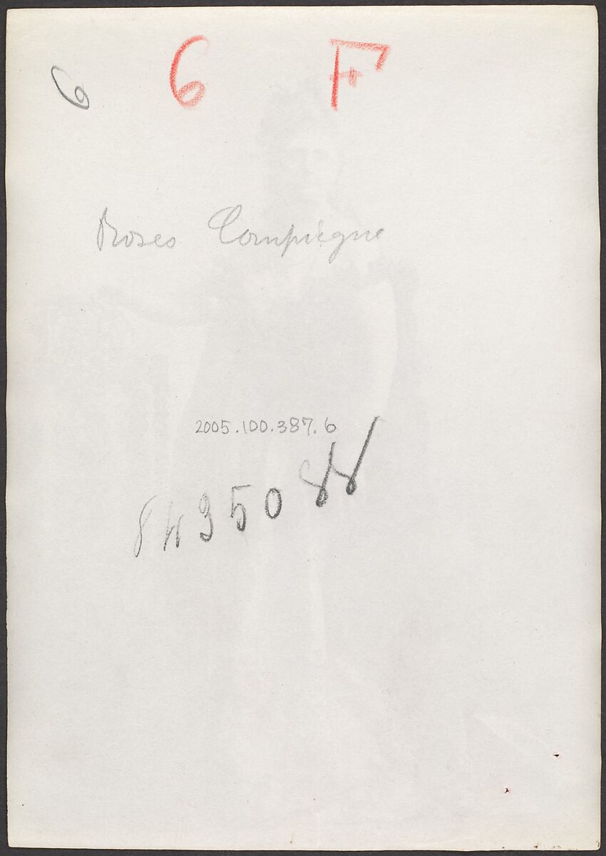 [Countess de Castiglione, from Série des Roses], Pierre-Louis Pierson (French, 1822–1913), Albumen silver print from glass negative